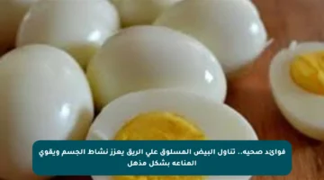 فوائد صحية.. تناول البيض المسلوق على الريق يعزز نشاط الجسم ويقوي المناعة بشكل مذهل